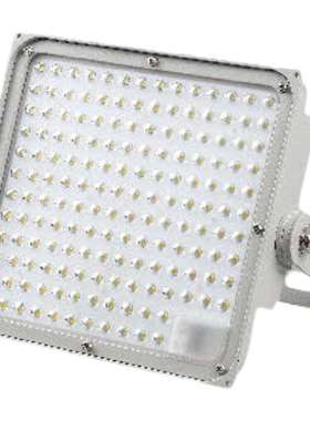 RLELB5160-XL120III 固定式LED灯具RLELB5160-XL150III LED泛光灯