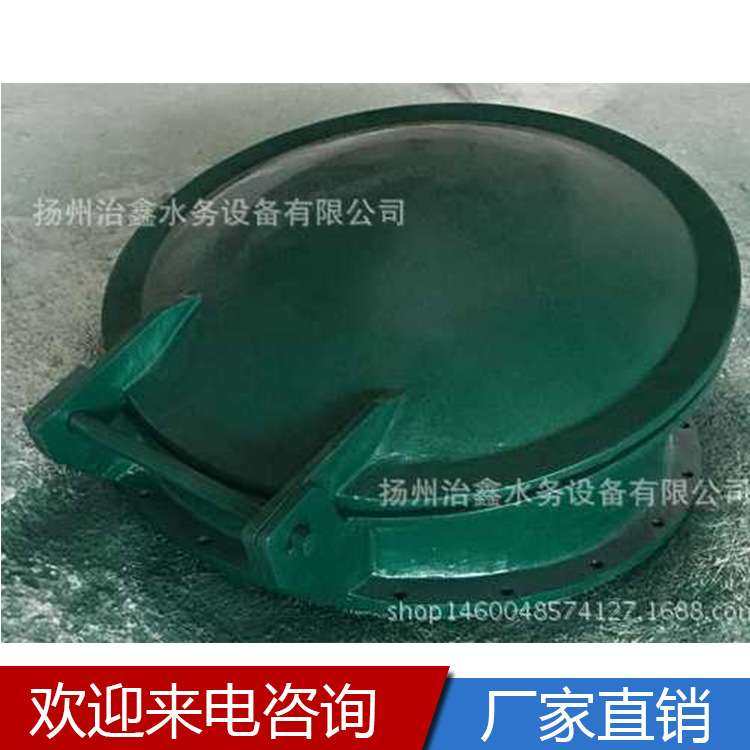 不锈钢开关拍门/钢制浮箱厂家供应DN800圆拍门复合材料方定,鲜花速递/花卉仿真/绿植园艺,割草机/草坪机,淘宝优惠券,粉丝福利购,淘宝优惠卷