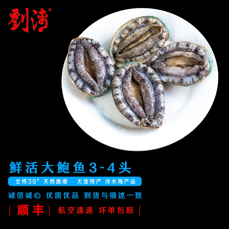 刘清海鲜 大连特产 鲜活3头大鲍鱼 1000g3-4只 新鲜水产 大连鲍鱼,水产肉类/新鲜蔬果/熟食,鲍鱼,淘宝优惠券,粉丝福利购,淘宝优惠卷