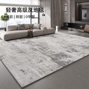 铺 2025全感沙发家用轻奢地毯客厅房间免洗高级可擦地垫大面积新款