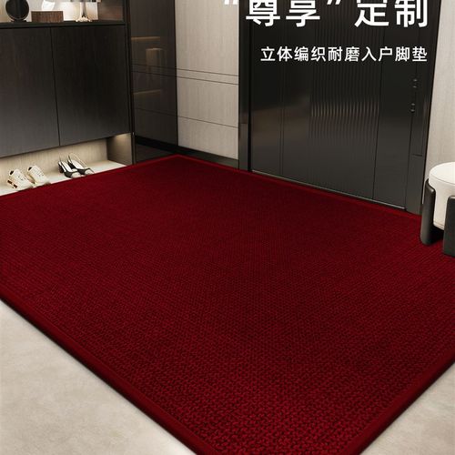 红色高级感入户门地垫室内玄关免洗可擦脚垫进门门口加厚防滑地毯