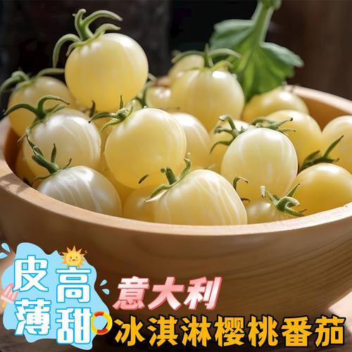 意大利千禧圣女果樱桃番茄种子