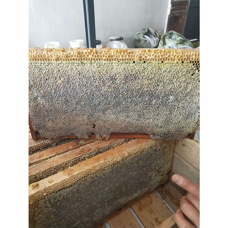 整张蜂巢蜜老巢蜜土蜂蜜农家自产蜂巢蜜老蜂巢蜂窝土蜂蜜500g