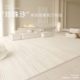污地毯客厅轻奢高级家用家用风2024奶油 防卧室地垫防水沙发感新款