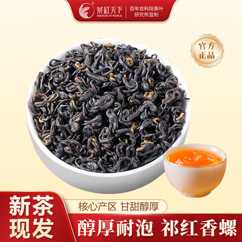 茶红天下祁门红茶毛峰祁红香螺