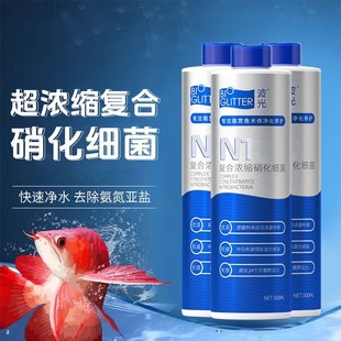 波光N1超浓缩硝化细菌观赏鱼专用水族鱼缸净水水质稳定活菌免换水
