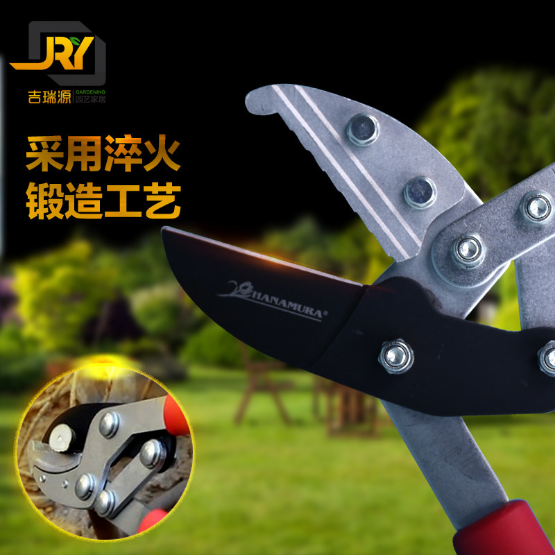 园林绿化剪刀果树修粗枝剪大力剪树枝剪花木省力剪高枝修枝剪
