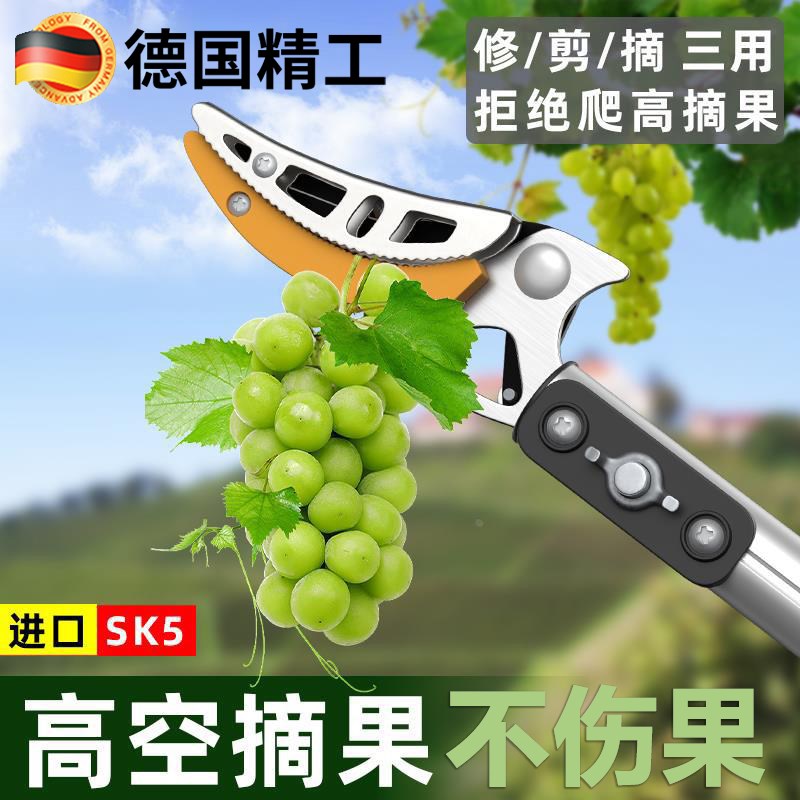 摘葡萄摘果神器伸缩杆加厚高空采摘桃子无花果荔枝高枝剪树枝剪刀