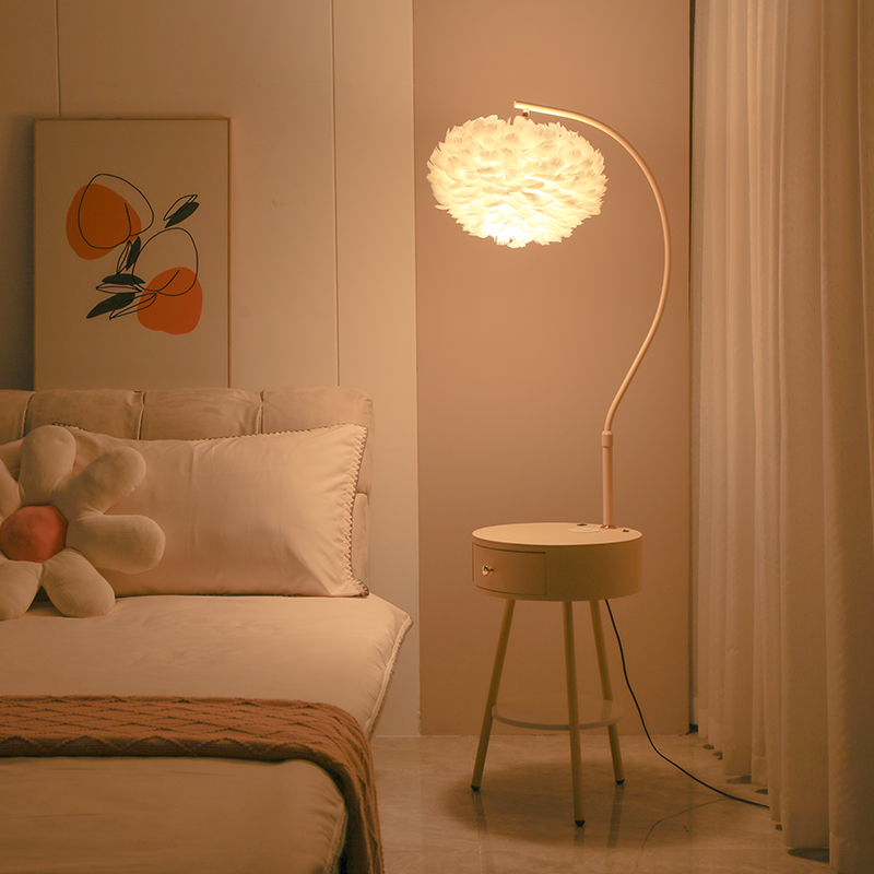 羽毛落地灯卧室客厅氛围高级感法式奶油风网红少女床头柜台灯一体