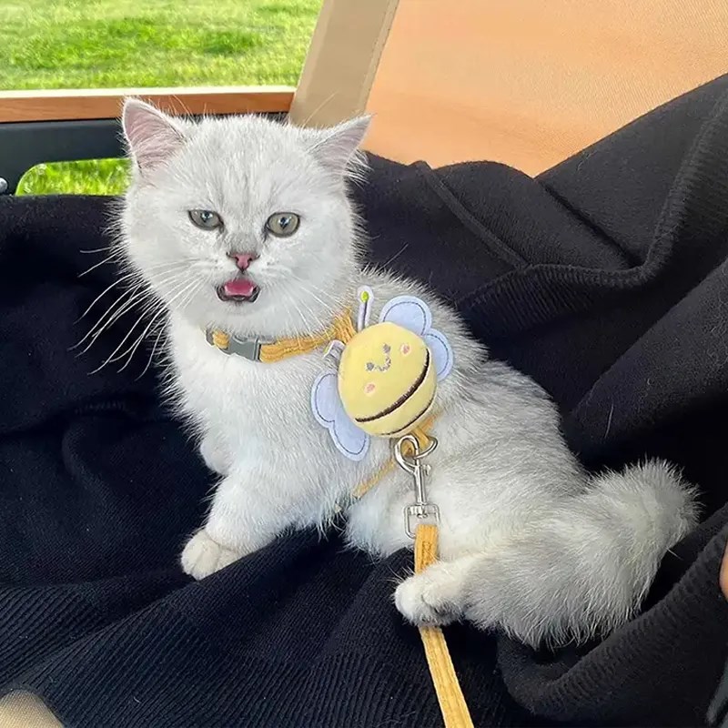 猫咪牵引绳宠物可爱蜜蜂胸背绳外出家用防丢可调节遛猫绳狗狗通用