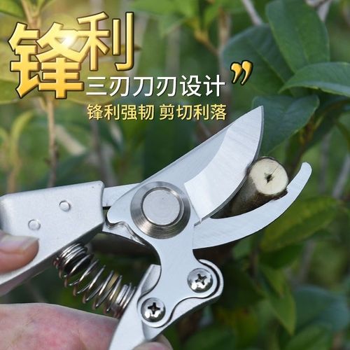 果树剪刀修枝神器剪花卉摘果剪树枝剪刀绿化嫁接园林园艺剪刀