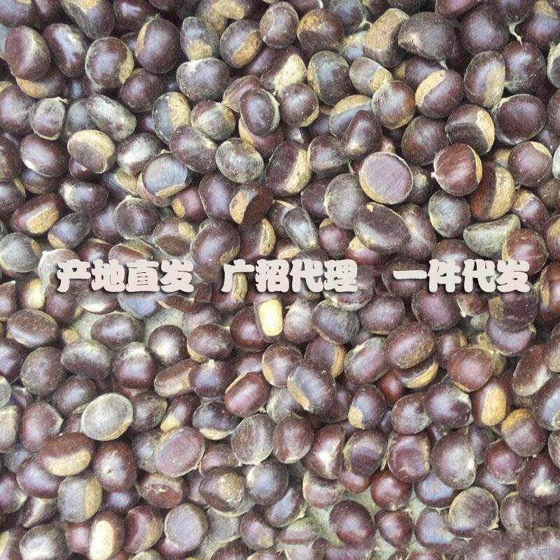 新货专拍本地土板栗板栗