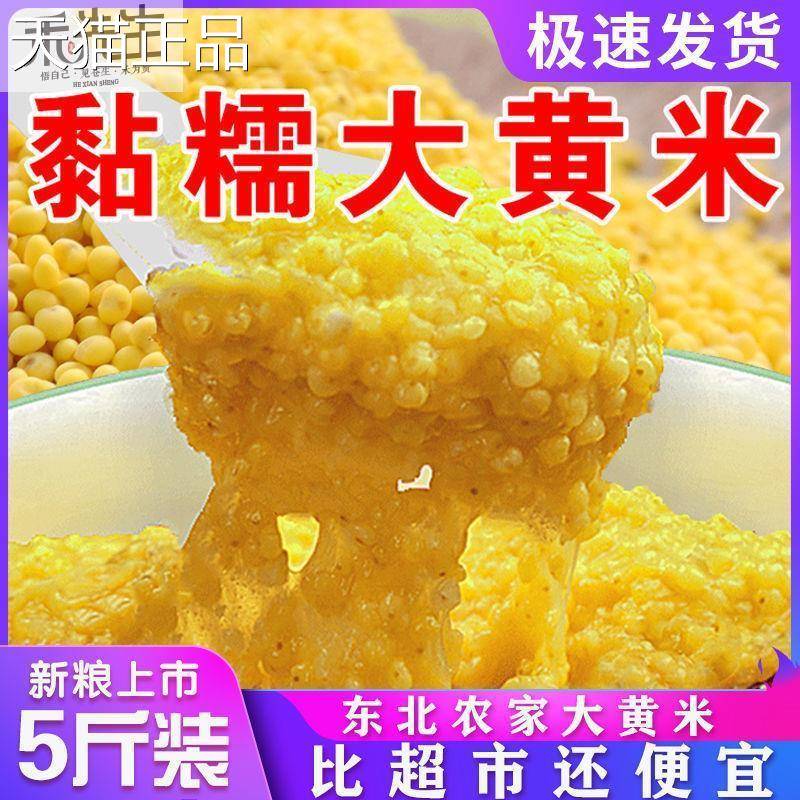 ZL东北粘大黄米5斤农家2斤粘糯软黄米包粽子粘豆包黏米饭新米黍米