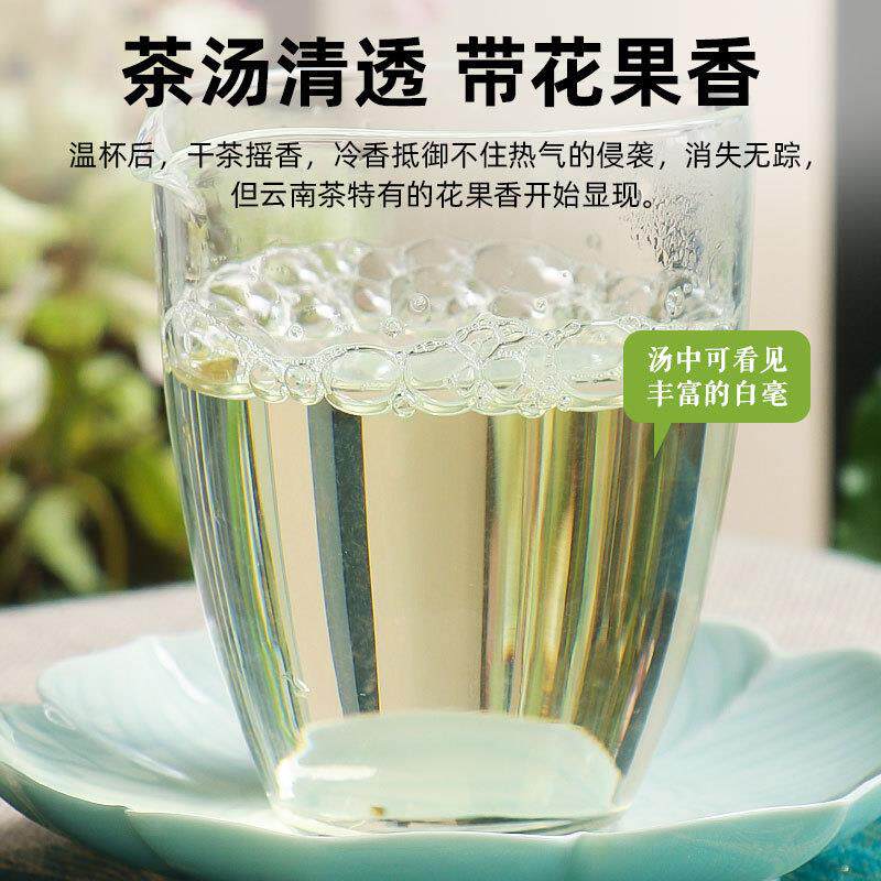 正宗2024年特级白毫银针明前春茶云南景谷头采单芽新茶白茶自