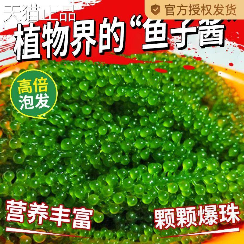 海葡萄即食盐渍海带海洋蔬菜绿色鱼子酱海藻凉拌菜寿司涮火锅食材