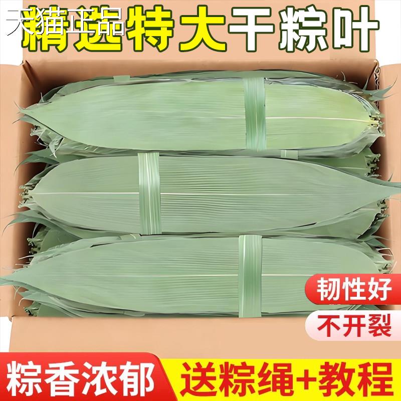 粽子叶粽叶干大号棕叶新鲜包粽子竹叶子干粽叶商用箬叶材料旗舰店
