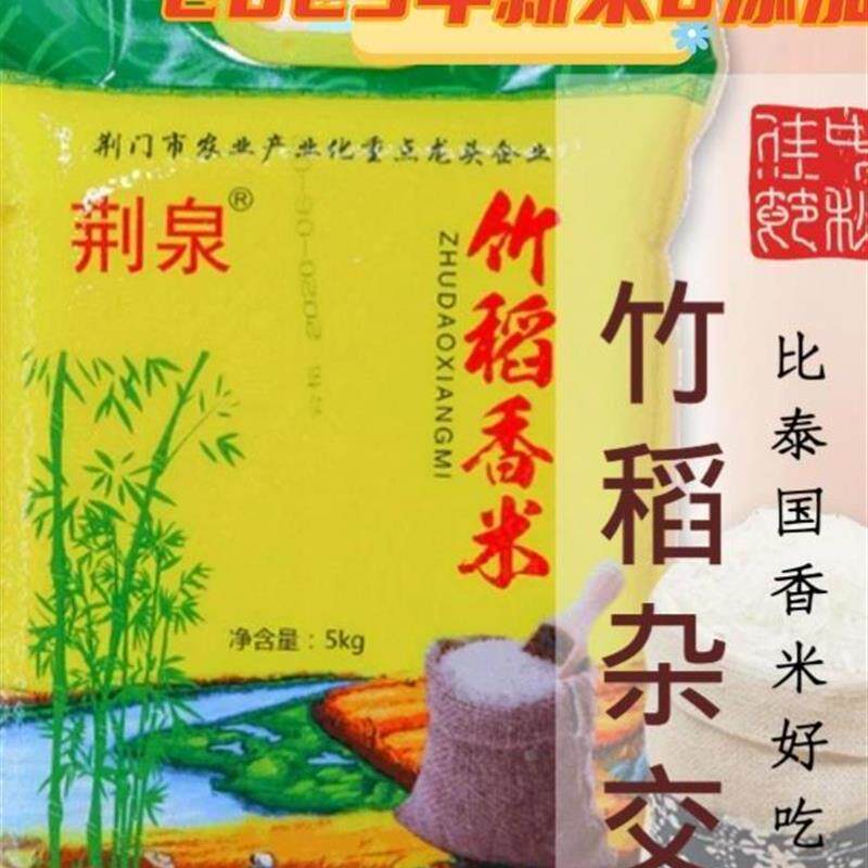 新日期荆泉竹稻米竹稻杂交米竹稻大米竹稻香米 5kg 竹稻米种2024