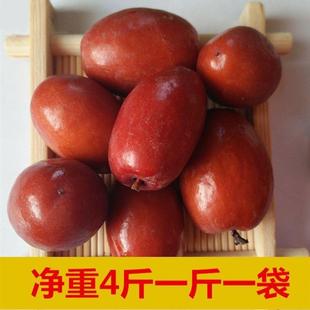 新货新红枣醉枣酒枣包邮沧州特产罐装桶装新鲜金丝小枣大枣农家腌