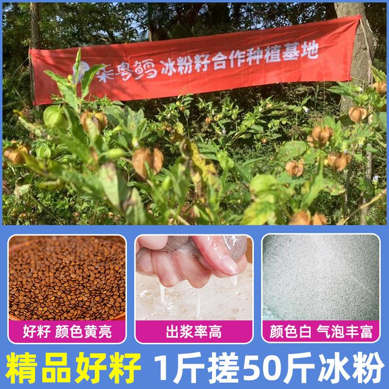 正宗手搓冰粉籽商用材料配料全套四川手工手戳爱玉子精品木瓜凉粉