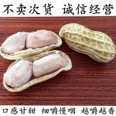 正宗24年新货龙岩湿烤花生