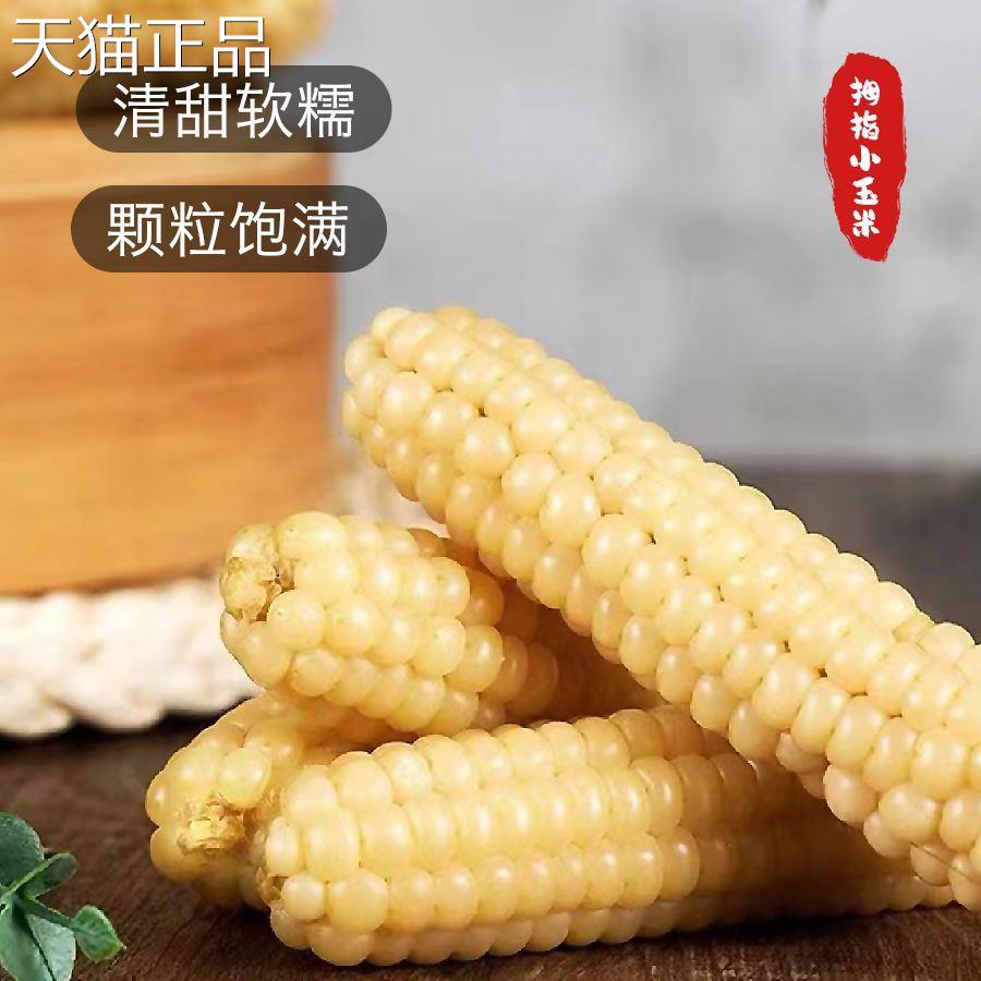 西双版纳拇指小玉米棒婴儿即食软香糯云南特产手指玉米真空礼盒