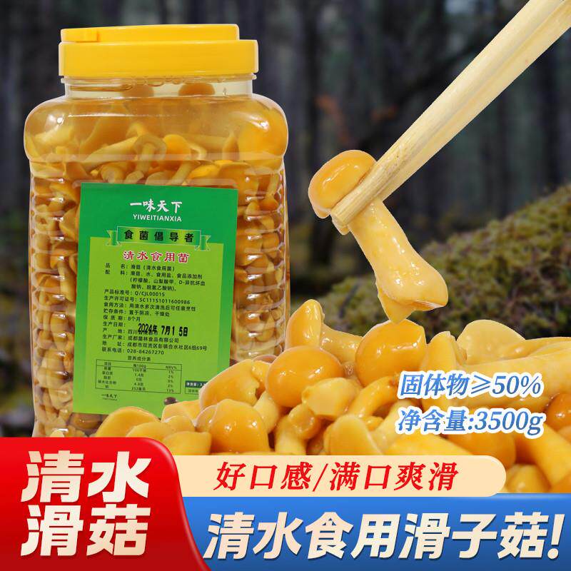 新货清水滑菇罐头食用野