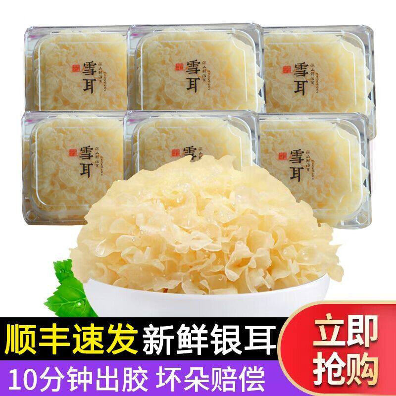 顺丰 | 精选 新鲜雪耳6朵装 高山活耳鲜白木耳银耳银耳莲子羹