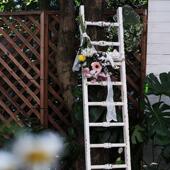 森得源新款 上市铁艺梯子爬藤架空间陈列家居爬梯架摆件饰品花园架