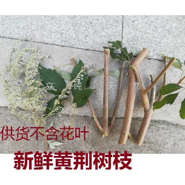 新鲜黄荆条,二斤五指柑棍子布荆牡荆树枝棒中草药包邮可煅荆沥
