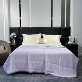 CZ新款 A类凉感夏凉被冰丝夏被单双人可机水洗空调被夏季 薄被子