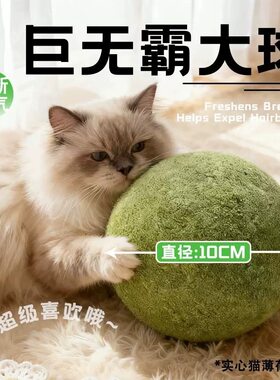 猫薄荷球升级款调理肠胃吐毛球呵护肠胃猫咪玩具磨牙球猫草猫玩具
