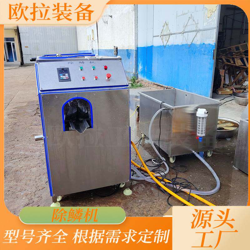 去鱼鳞机器 鲈鱼开背机 商用 酒店后厨杀鱼设备 全自动杀鱼机