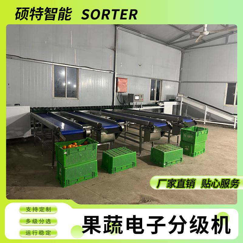 脆桃重量分拣机 油桃称重分级设备 奇异果柿子果蔬克重挑选机