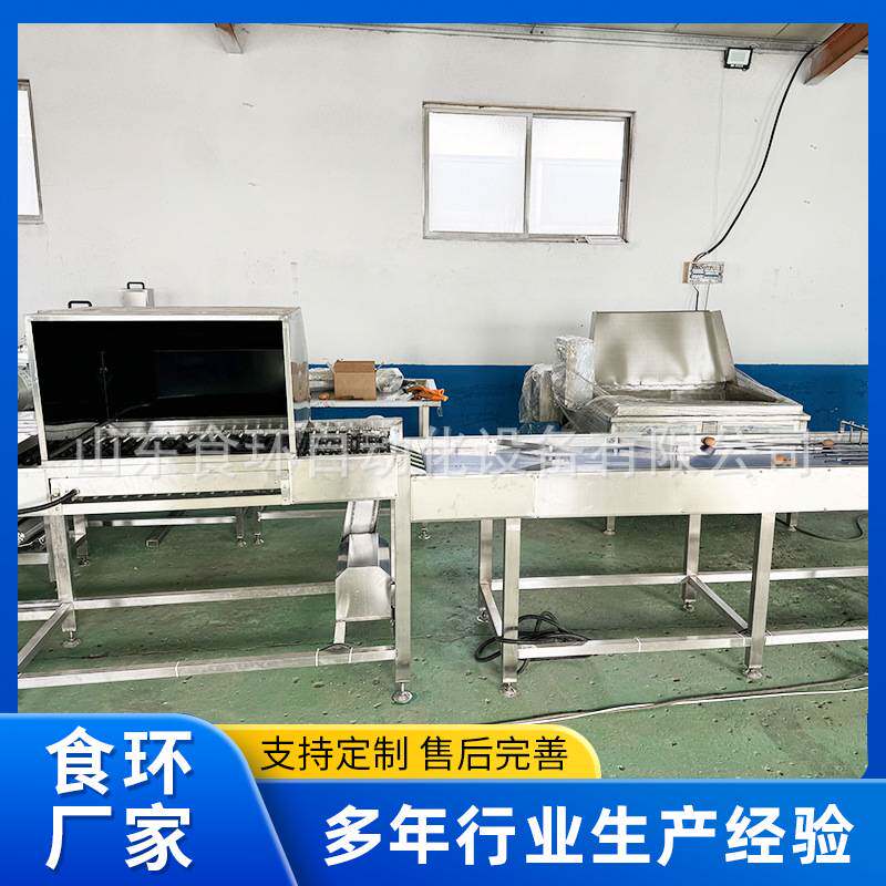 全自动四排六排洗蛋机 大型鸡蛋咸鸭蛋松花蛋商超保洁蛋品清洗机