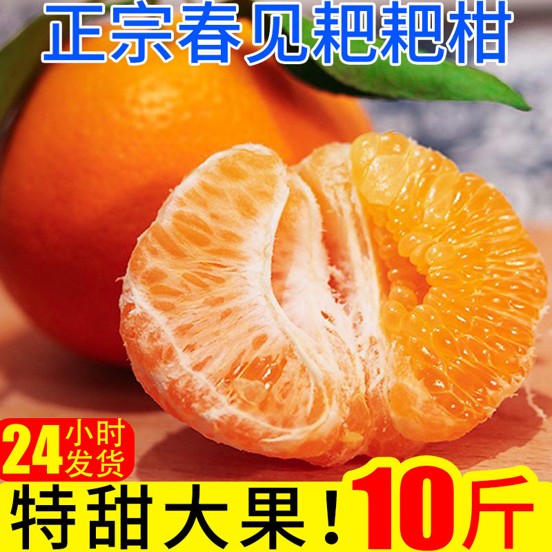 春见耙耙柑橘子新鲜10斤蜜橘桔子当季时令应季水果整箱柑橘,水产肉类/新鲜蔬果/熟食,桔子,淘宝优惠券,粉丝福利购,淘宝优惠卷