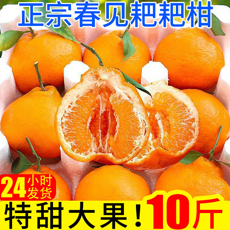 春见耙耙柑10斤橘子新鲜蜜橘桔子当季时令应季水果整箱柑橘,水产肉类/新鲜蔬果/熟食,桔子,淘宝优惠券,粉丝福利购,淘宝优惠卷