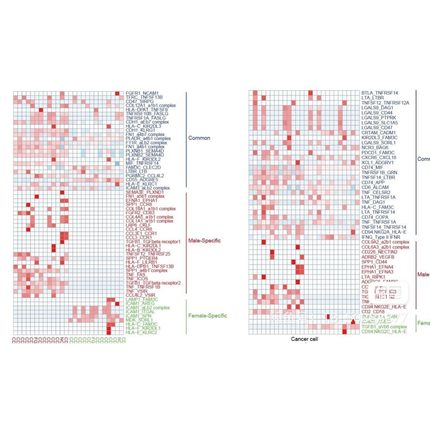 非中介生信分析单细胞转录组细胞通讯转录因子拟时均可python爬虫