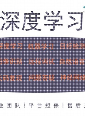python深度学习机器学习编写和指导matlab编写图像处理复现