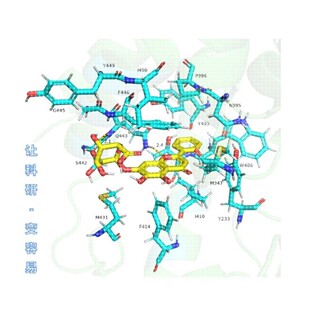 第一性原理代算VASP分子动力学MS计算量子化学有限元密度泛函DFT