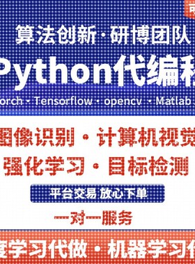 python代编程代做程序开发深度学习强化学习图像处理调试神经网络