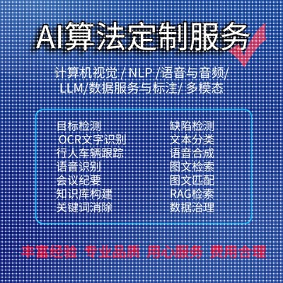 AI算法定制计算机视觉缺陷检测LLM应用与RAG知识库构建python编程
