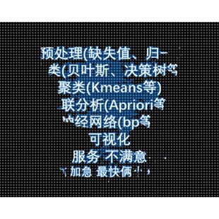 RapidMiner分类聚类回归神经网络关联规则可视化数据分析指导咨询