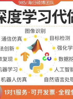 python深度学习nlp代做matlab彷真opencv代做图像处理神经网络
