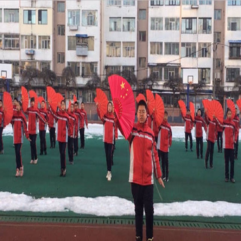 双面太极扇功夫扇五角星表演道具扇舞蹈塑料扇骨好开合爱我中华