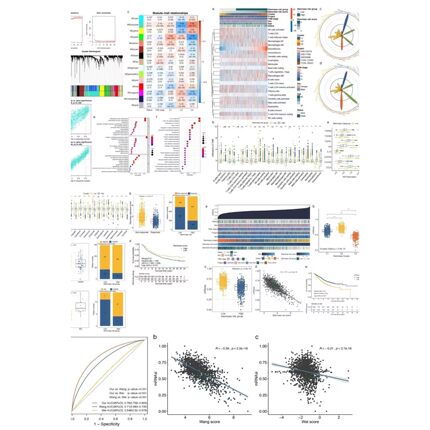 SPSS数据分析/相关分析/方差分析/回归分析