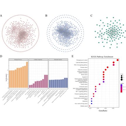 留学生作业统计学贝叶斯SAS/Spss数据挖掘分析回归时间序列stata