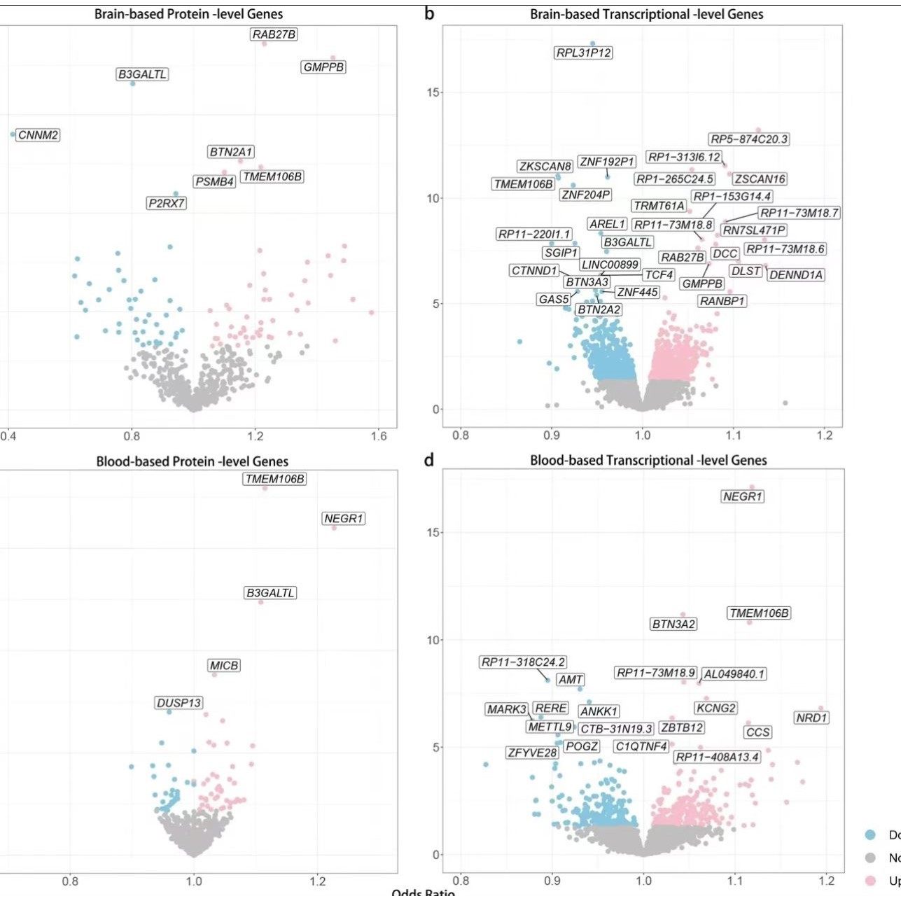 医学数据统计cox生存分析ROC曲线森林图柱状图R语言科研绘图 代做
