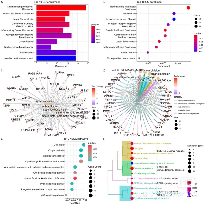 Go Kegg富集分析,GSEA富集分析,通路富集分析,气泡图,柱状图