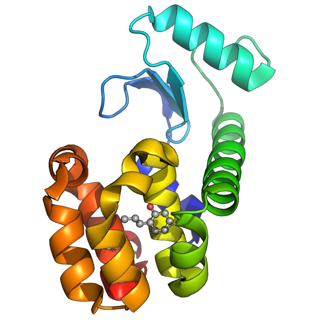 蛋白蛋白分子对接DS分析MD分子动力学分析PDB构建