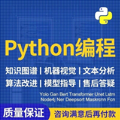 python深度学习机器学习时序预测目标检测分类分割代码指导复现等